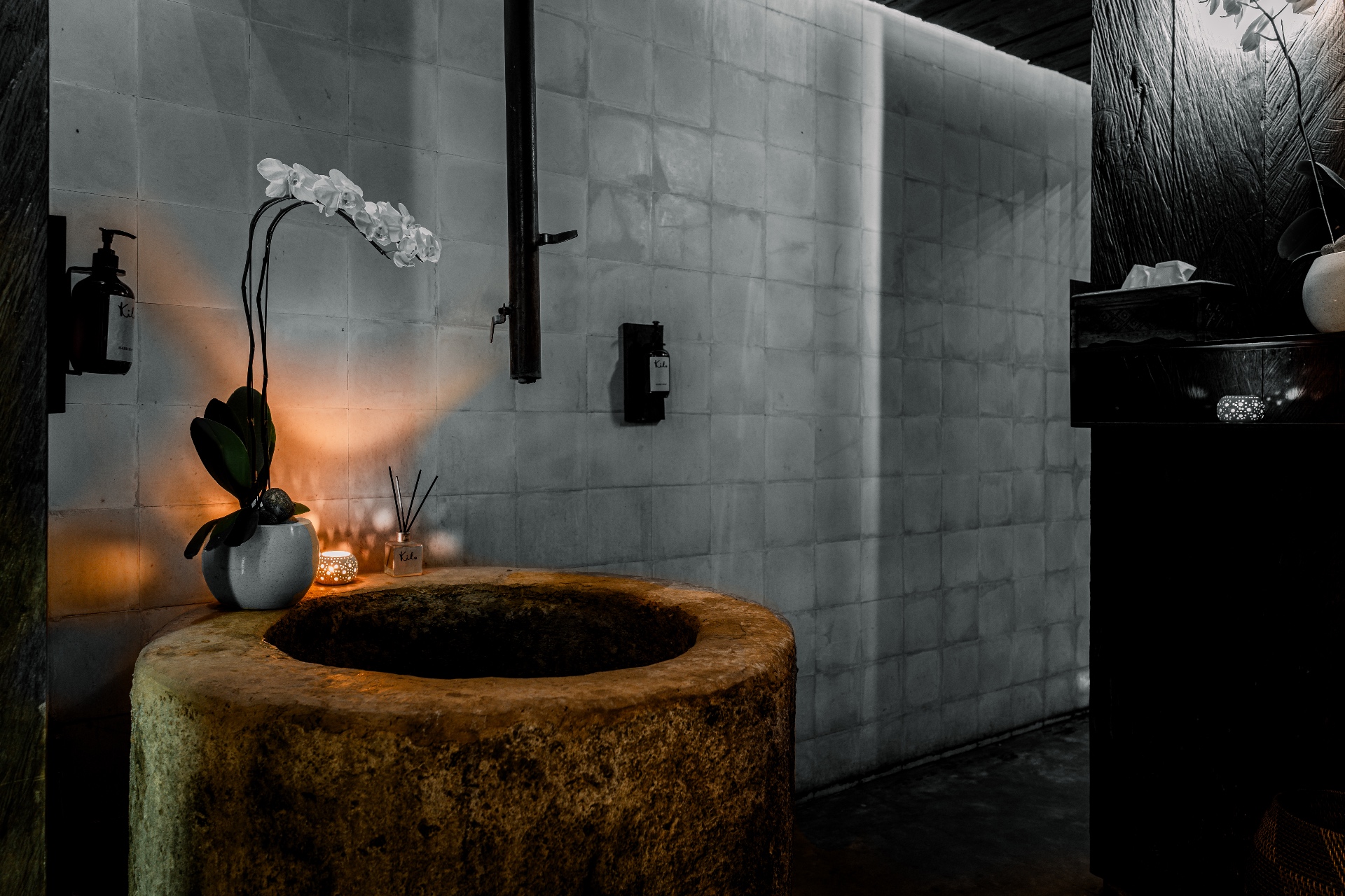 campaign image