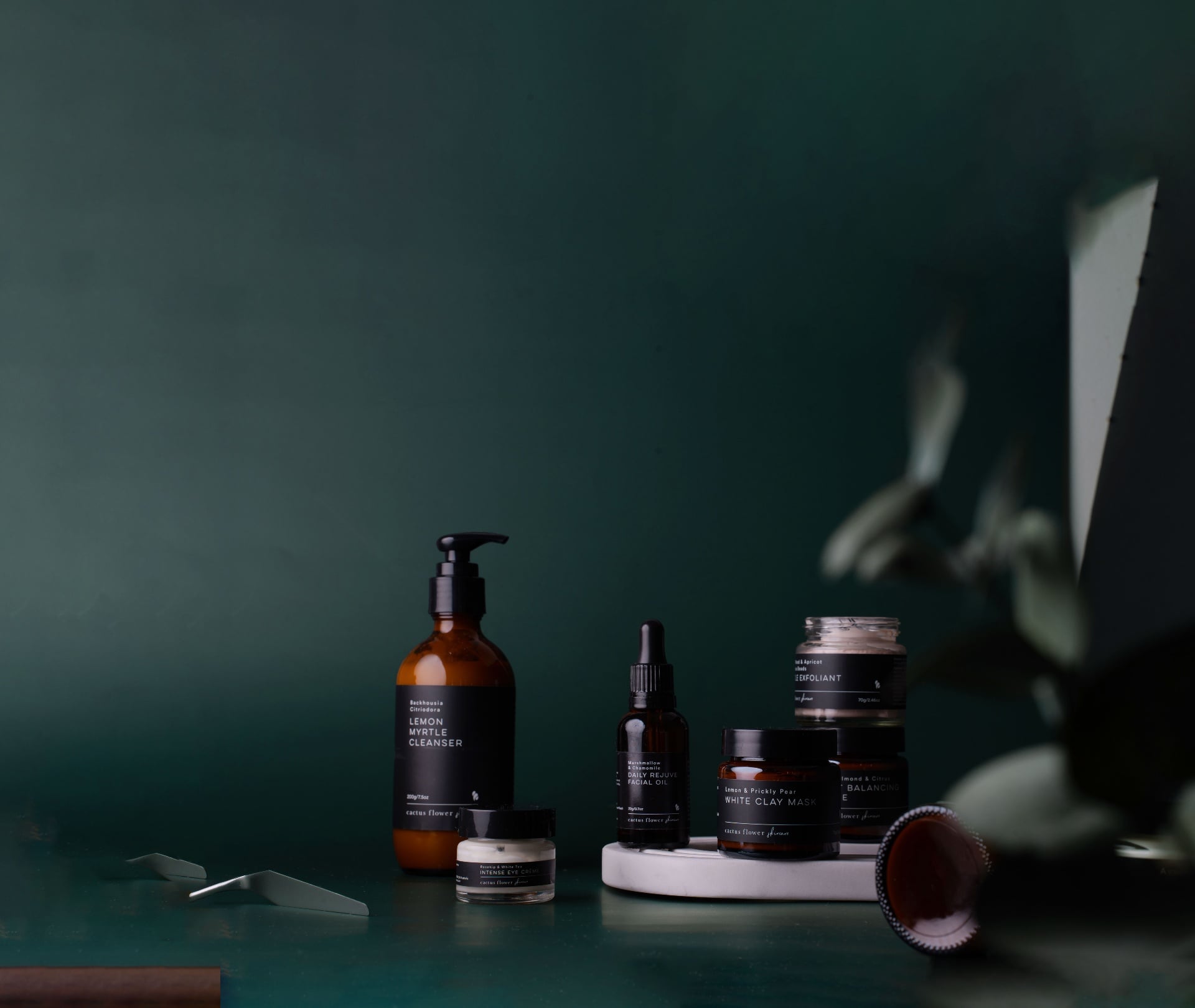 Cactus Skincare — photo 1