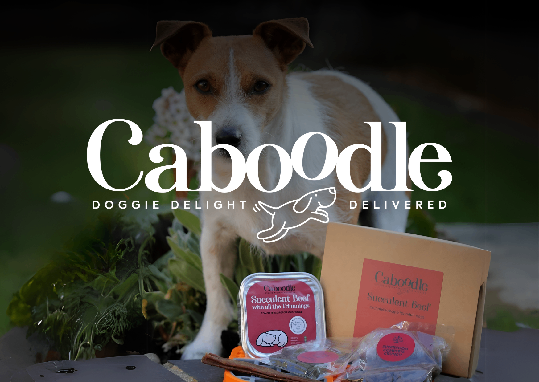 Caboodle — photo 1
