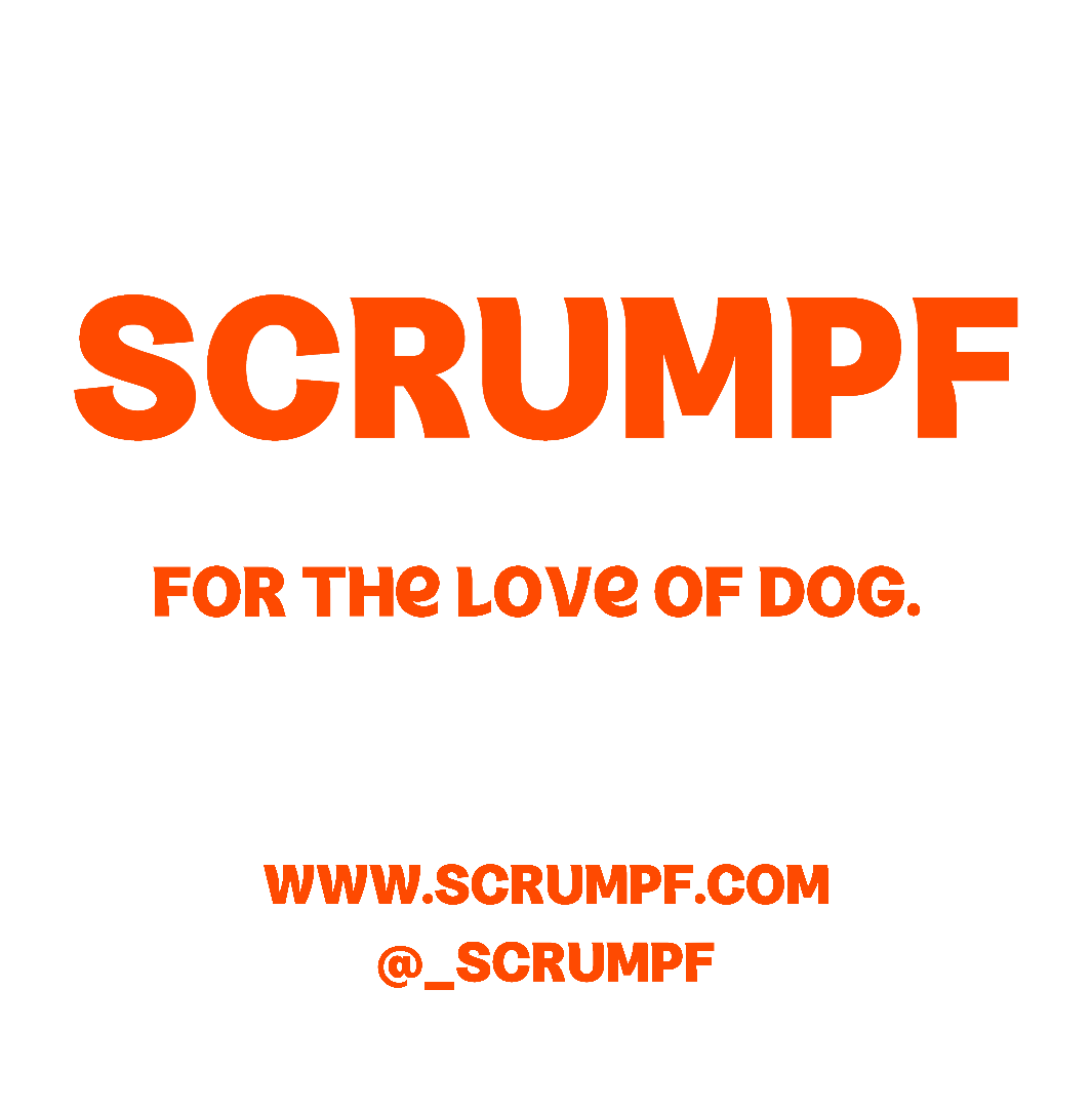 SCRUMPF (@_scrumpf) — photo 1