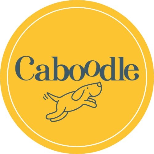 Caboodle