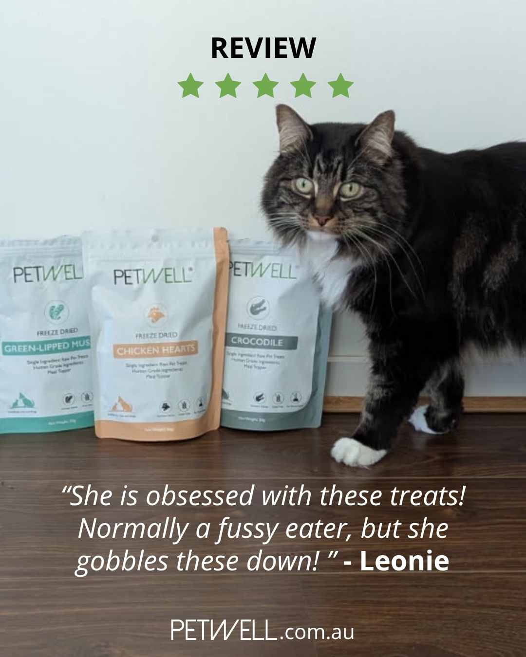 PetWell | Dog & Cat Heathy Treats & Supplements — photo 8