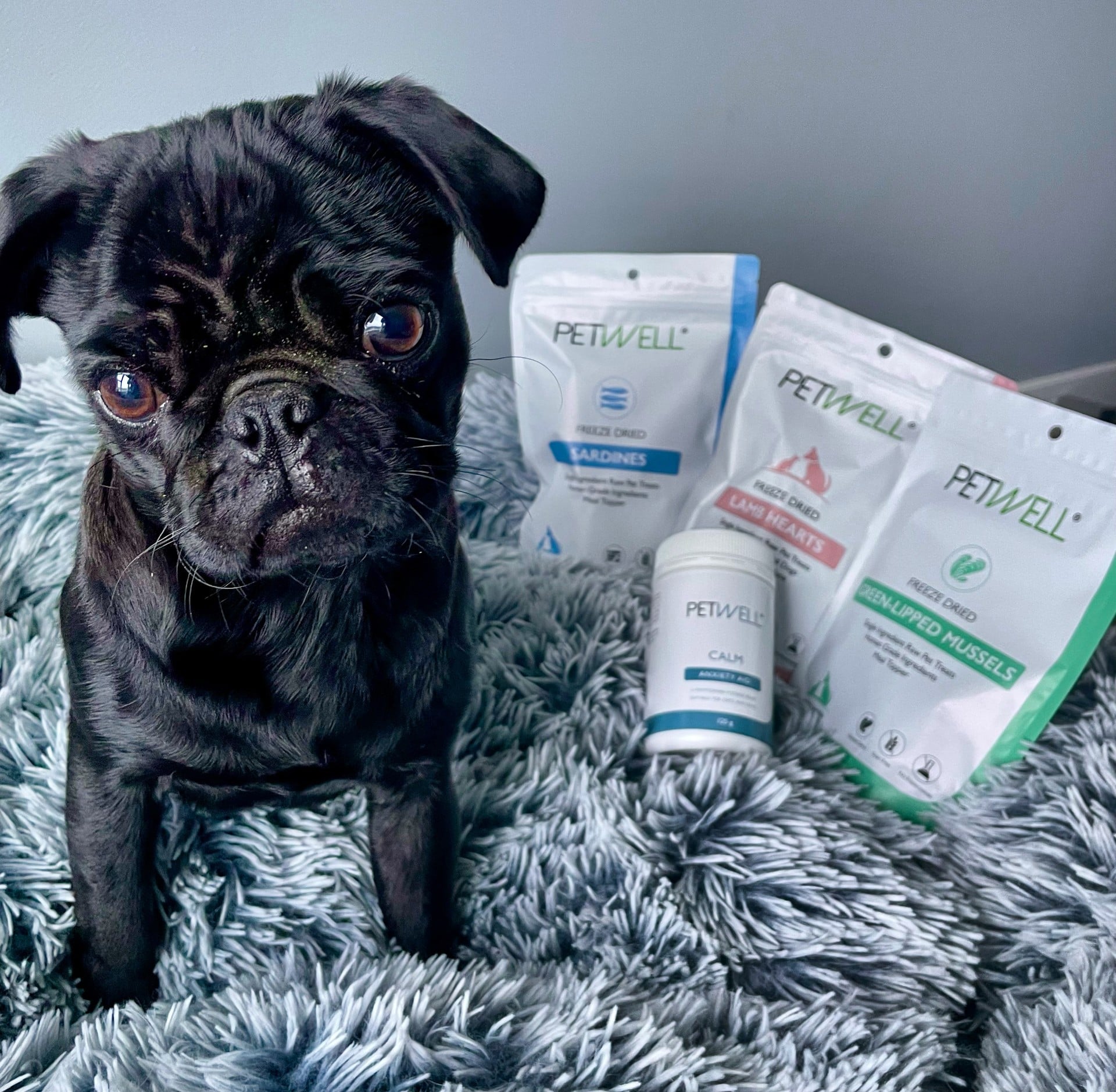 PetWell | Dog & Cat Heathy Treats & Supplements — photo 4