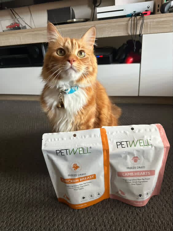 PetWell | Dog & Cat Heathy Treats & Supplements — photo 2