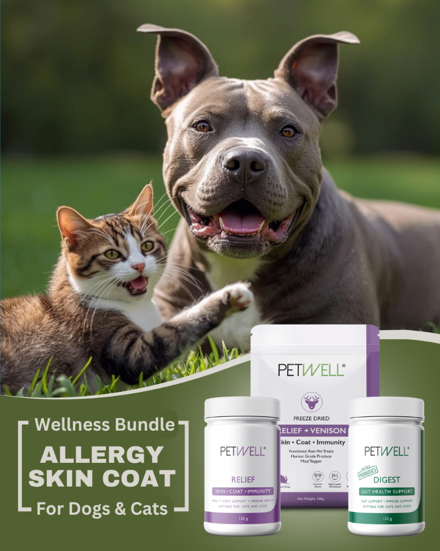 PetWell | Dog & Cat Heathy Treats & Supplements — photo 7