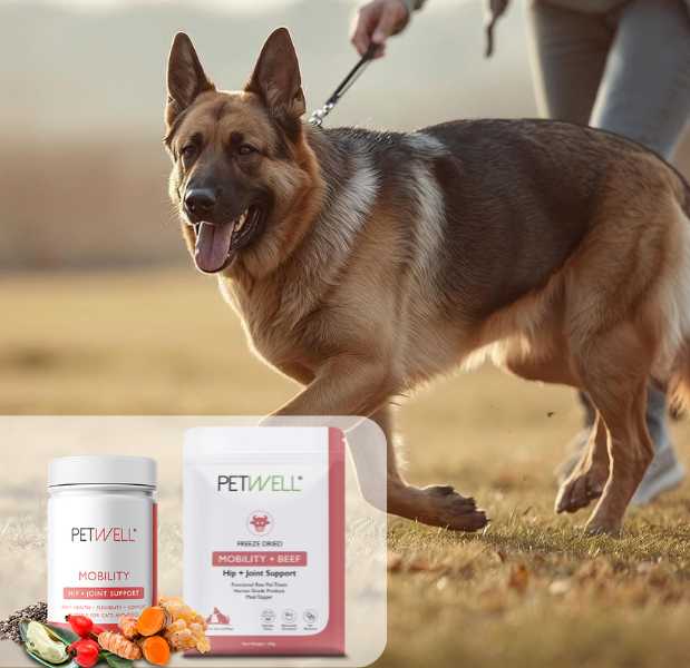 PetWell | Dog & Cat Heathy Treats & Supplements — photo 1