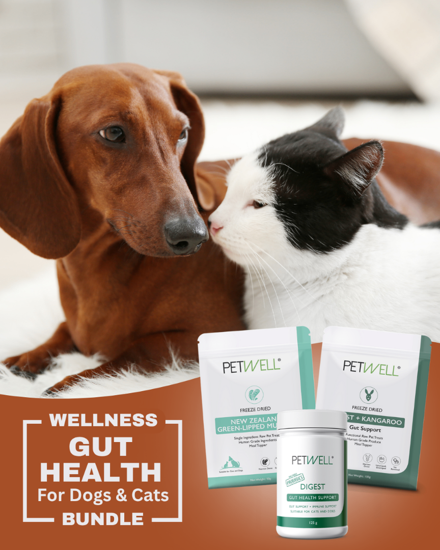 PetWell | Dog & Cat Heathy Treats & Supplements — photo 6