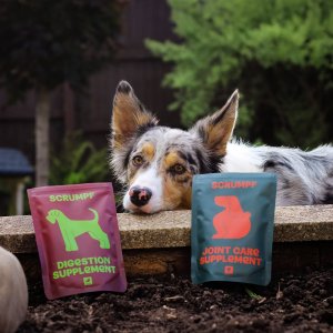 Instagram post by @mollyandthecollies about SCRUMPF