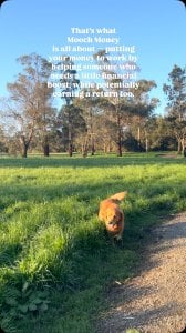 Instagram post by @borris_millie_thegoldens about Mooch