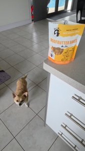 Instagram post by @rue_thechihuahua about Mimi & Munch Australia Pty Ltd