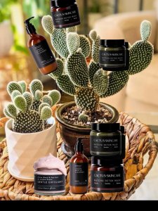 Instagram post by @blushandbronzedd1 about Cactus Skincare