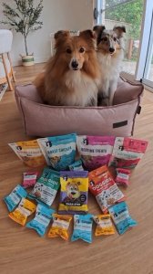 Instagram post by @cindythesheltie about Mimi & Munch Australia Pty Ltd